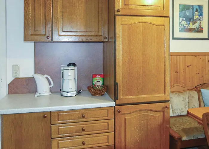 Daire Gemuetliche Mühlbach am Hochkönig